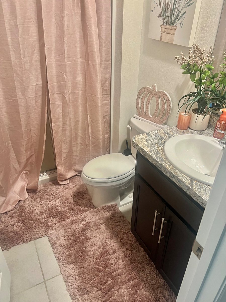 Furnished Finder property 513395_1 photo 4