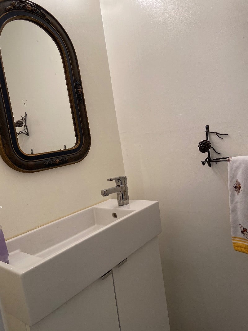 Downstairs guest bathroom