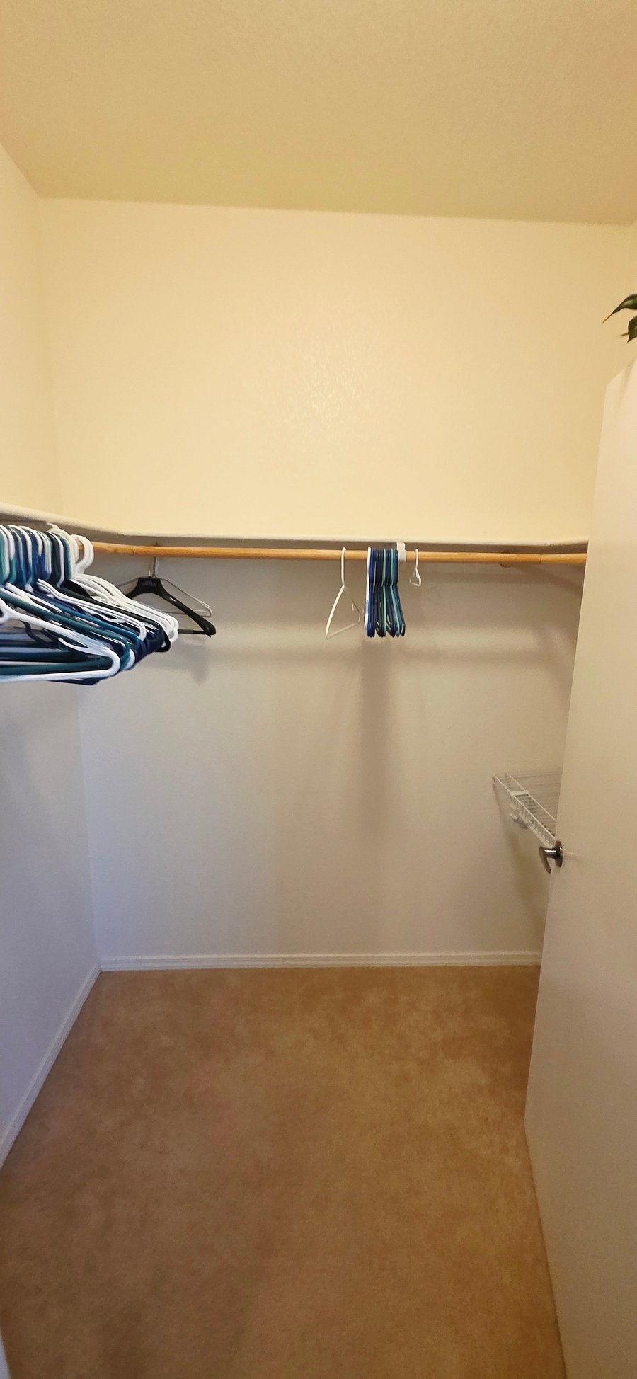Furnished Finder property 513573_1 photo 18