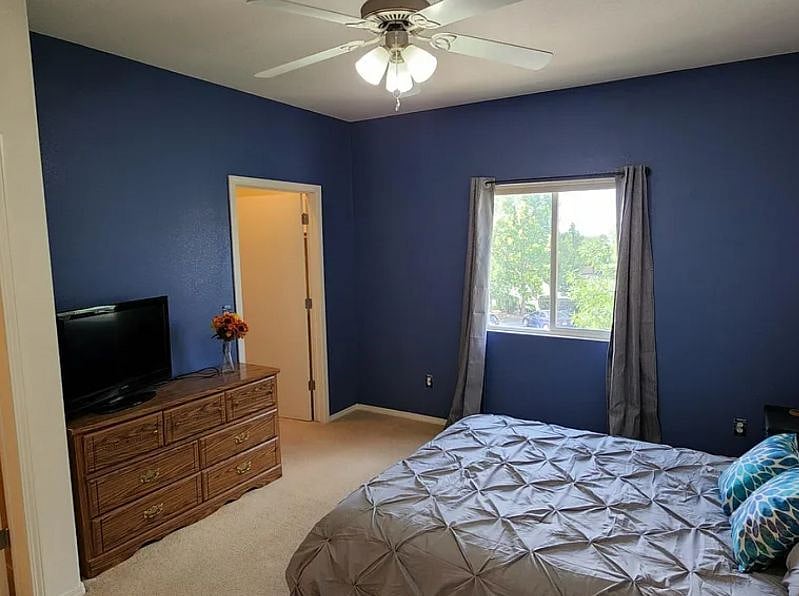 Furnished Finder property 513573_1 photo 12