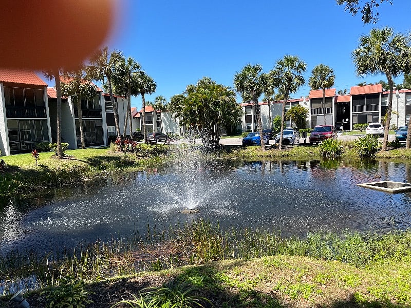 Furnished Finder property 513577_1 photo 30