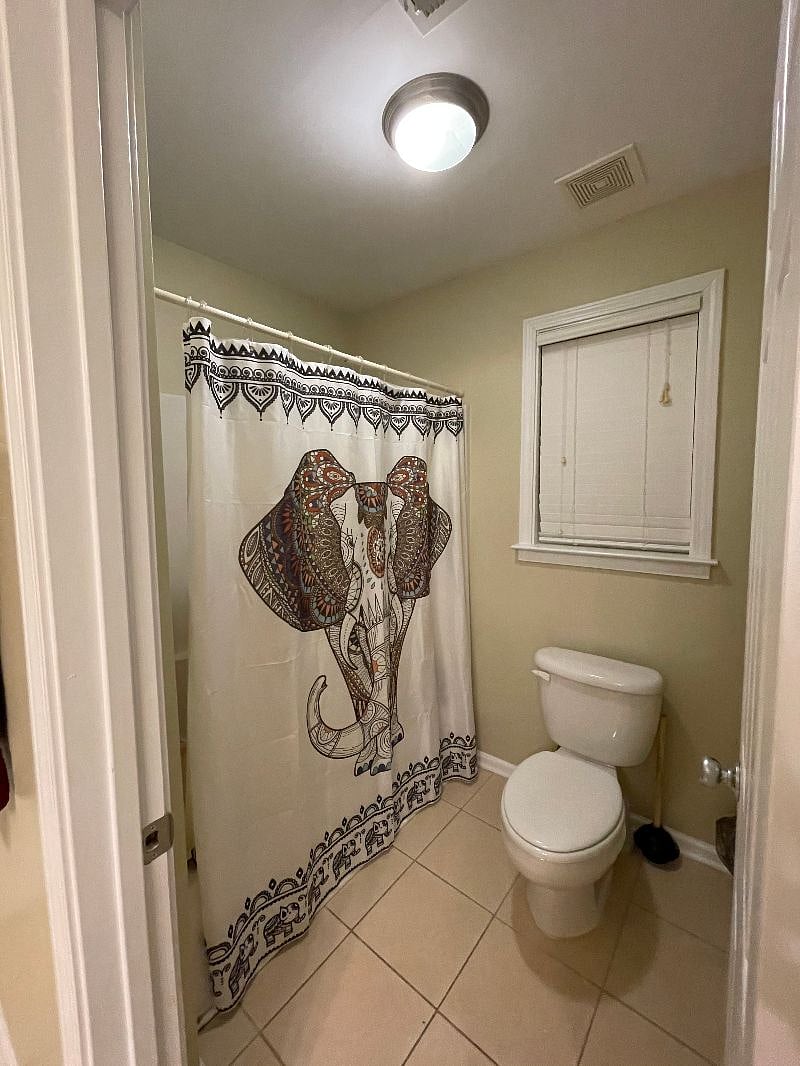 Furnished Finder property 513593_1 photo 15