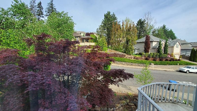 Furnished Finder property 513713_1 photo 27