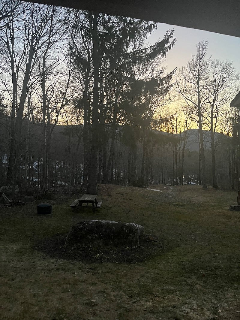 View out the back