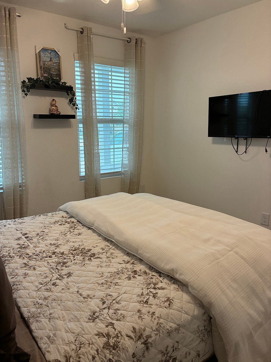 Furnished Finder property 513790_1 photo 14