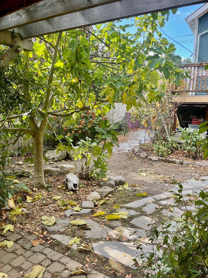 Path from driveway through the garden to your front door.