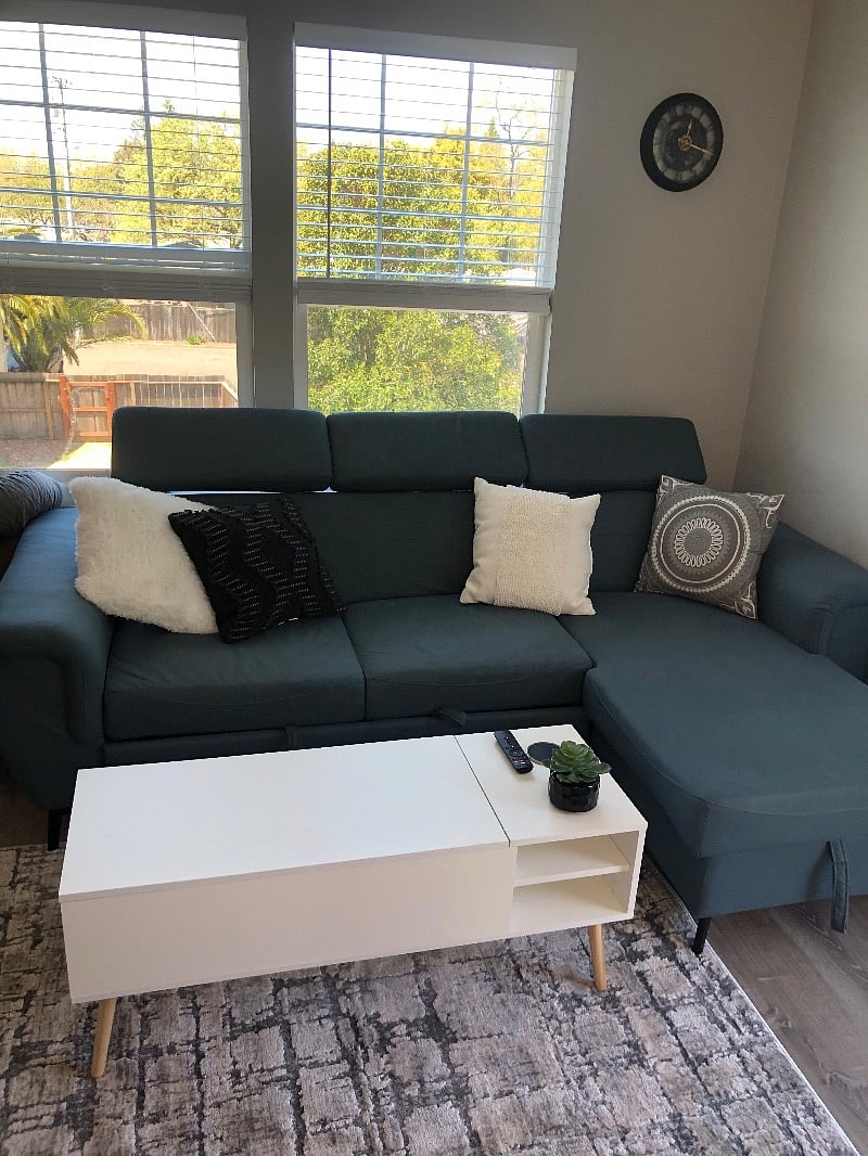 Brand new couch that has storage and opens up to a nice guest bed. Easy to pull out and has guest bedding in the storage area. Very comfortable.