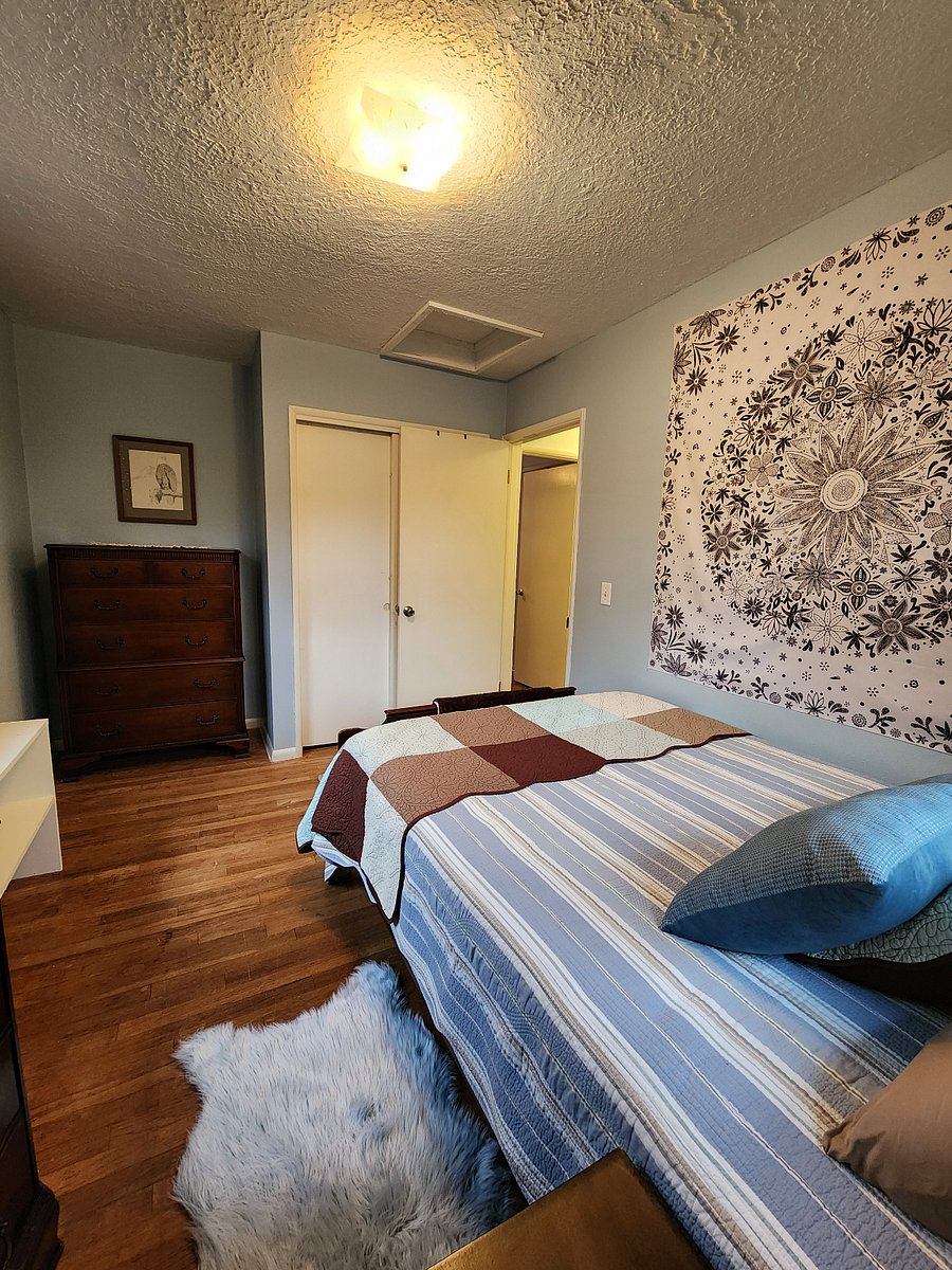 Furnished Finder property 514005_1 photo 24