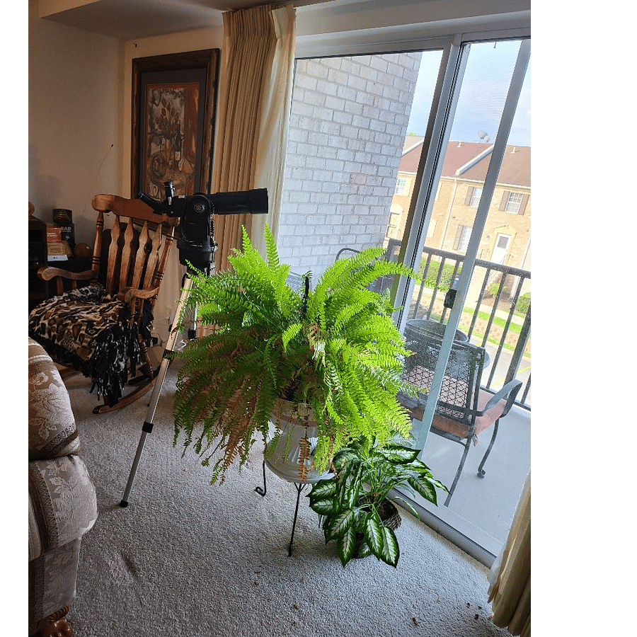 Furnished Finder property 514135_1 photo 34