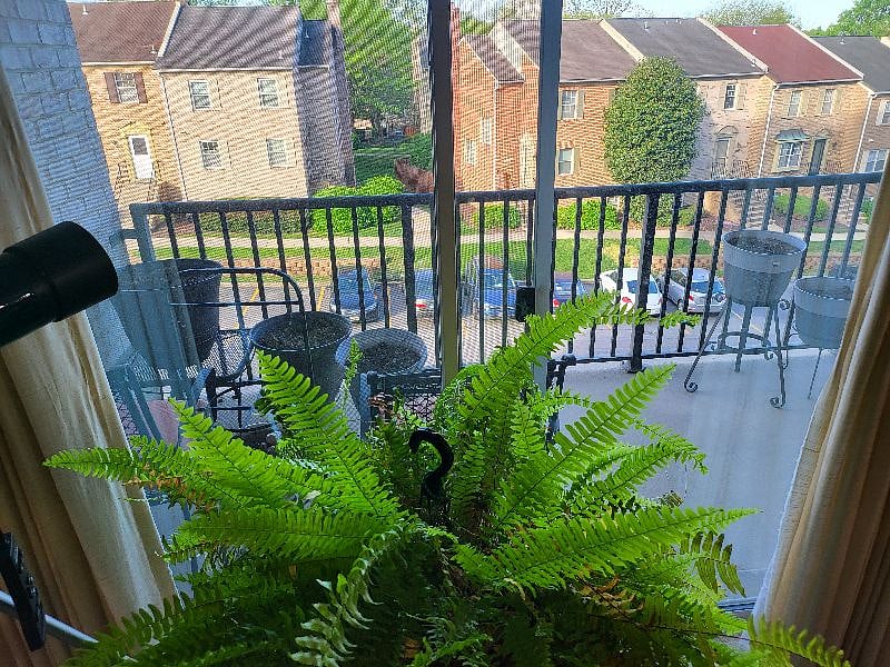 Furnished Finder property 514135_1 photo 35