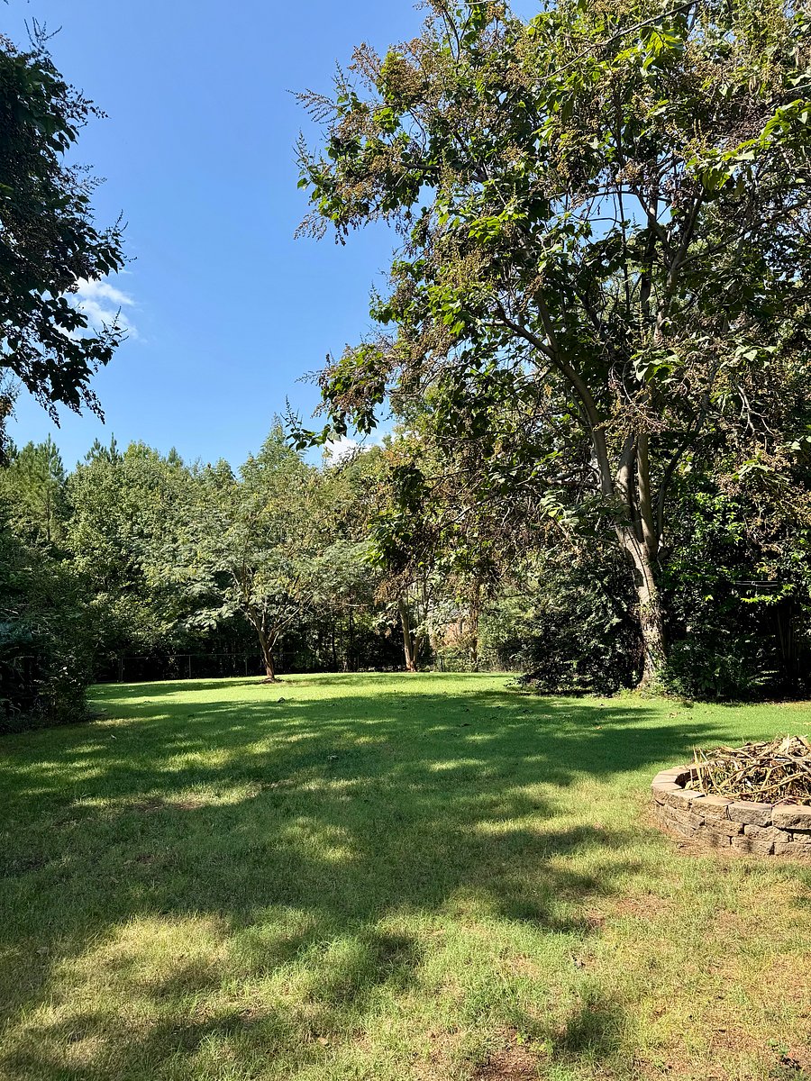 Furnished Finder property 514235_2 photo 10