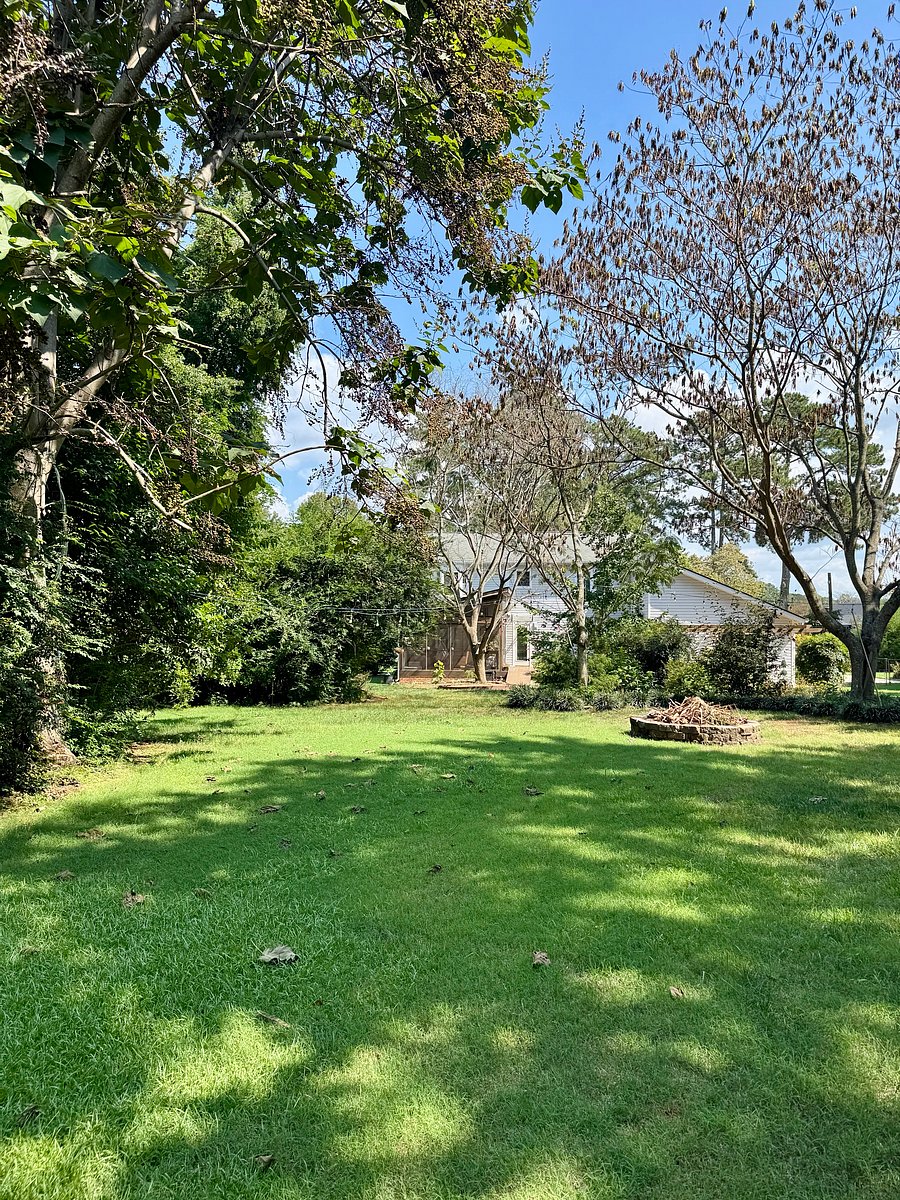 Furnished Finder property 514235_2 photo 11