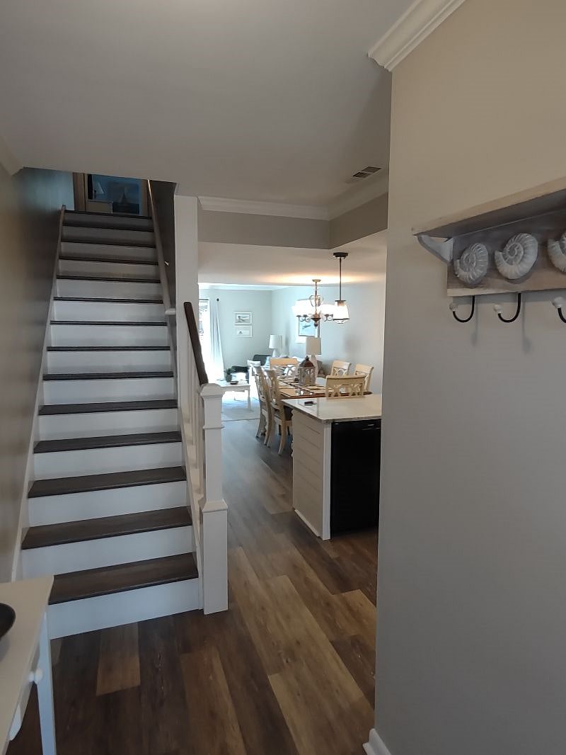 Furnished Finder property 514405_1 photo 33