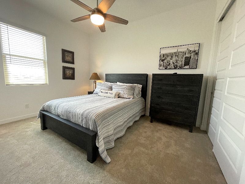 Furnished Finder property 514470_1 photo 22