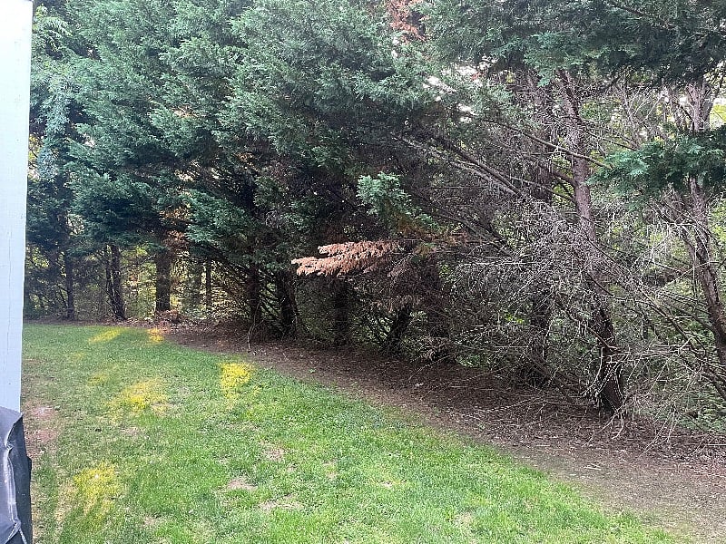 Wooded tree line outside your door surrounding the entire community 