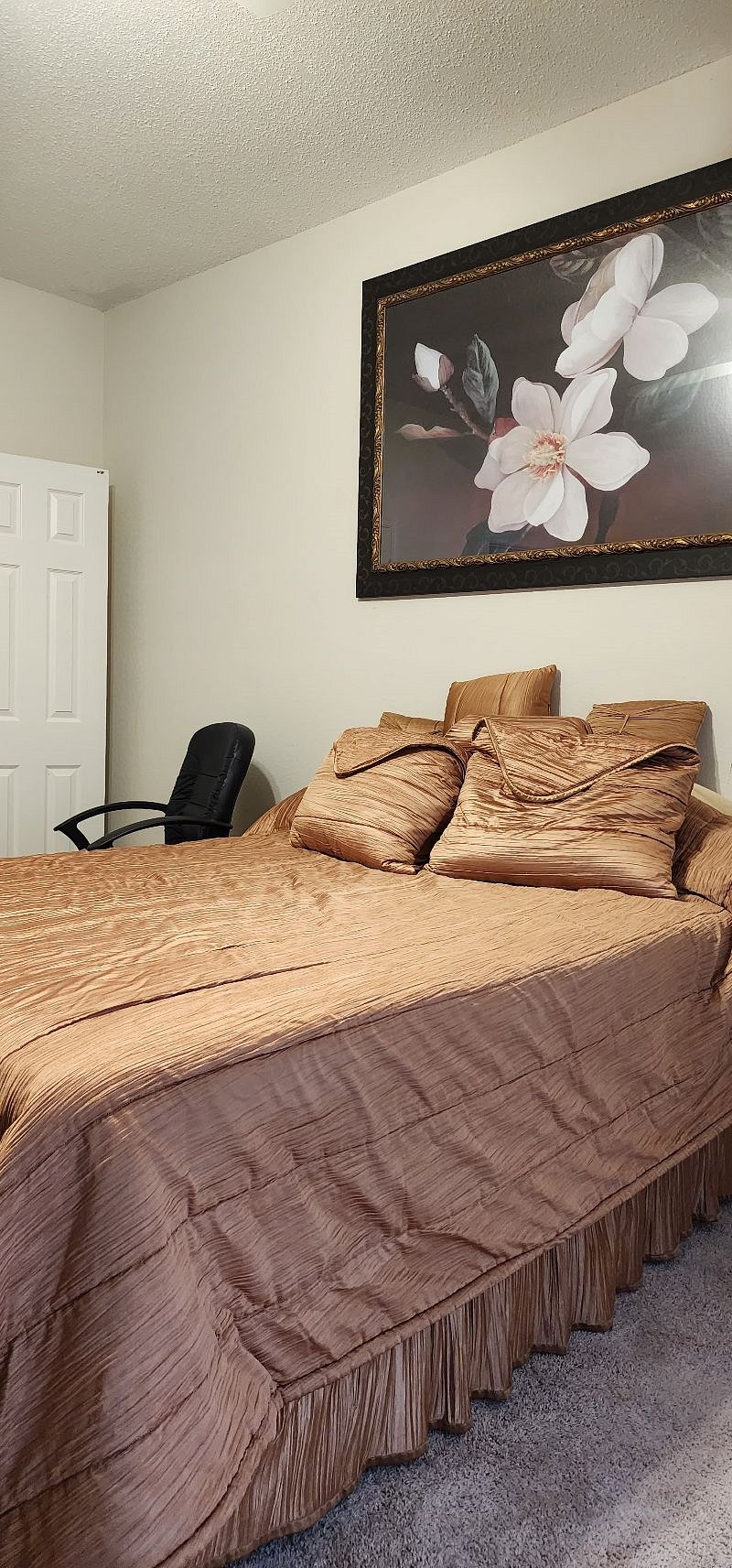 Furnished Finder property 514714_1 photo 5