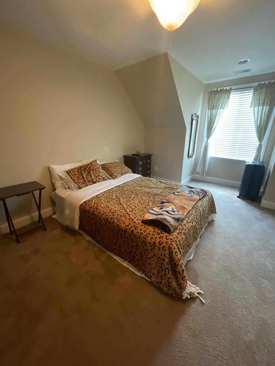 Furnished Finder property 514764_2 photo 3