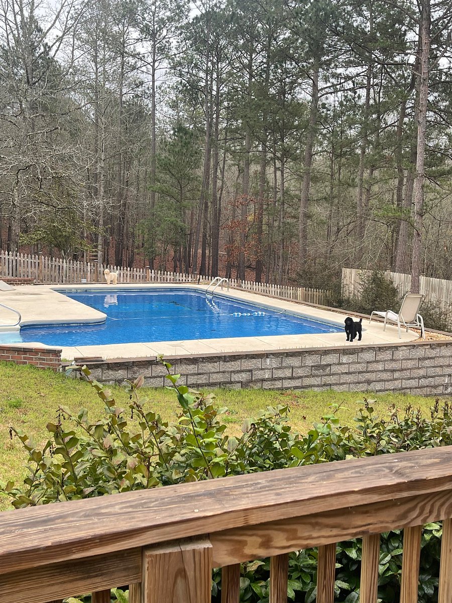 Furnished Finder property 514764_2 photo 6