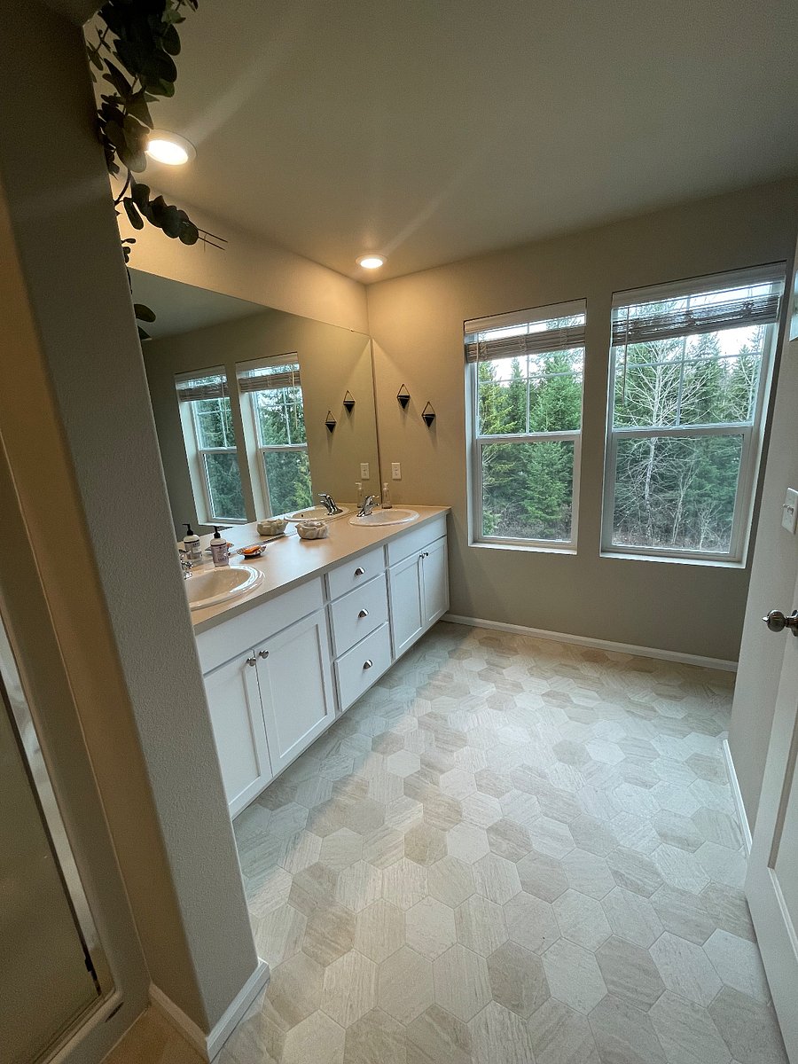 Master bathroom double vanity