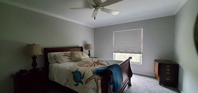 Furnished Finder property 514853_1 photo 3