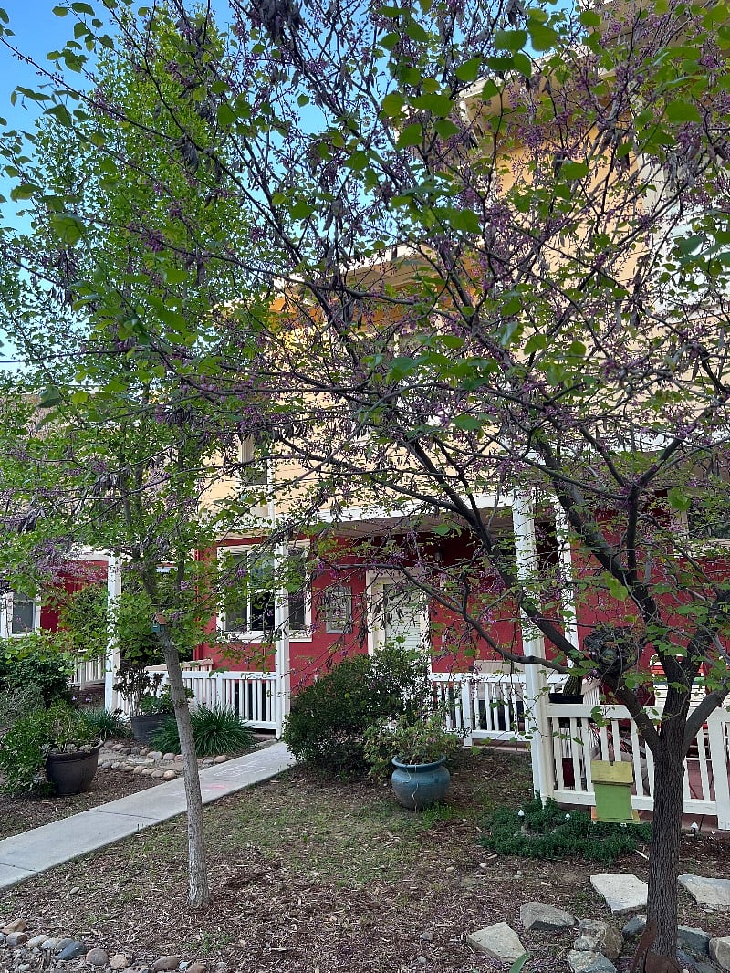 Furnished Finder property 514916_1 photo 2