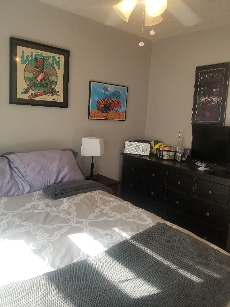 Furnished Finder property 514940_1 photo 17