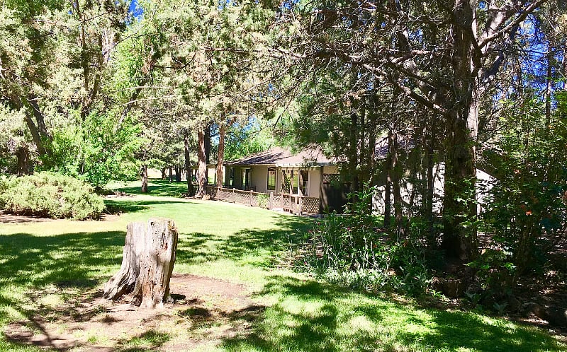 View of the back of the house from the open space. No houses right next door provide space, peace, and privacy.