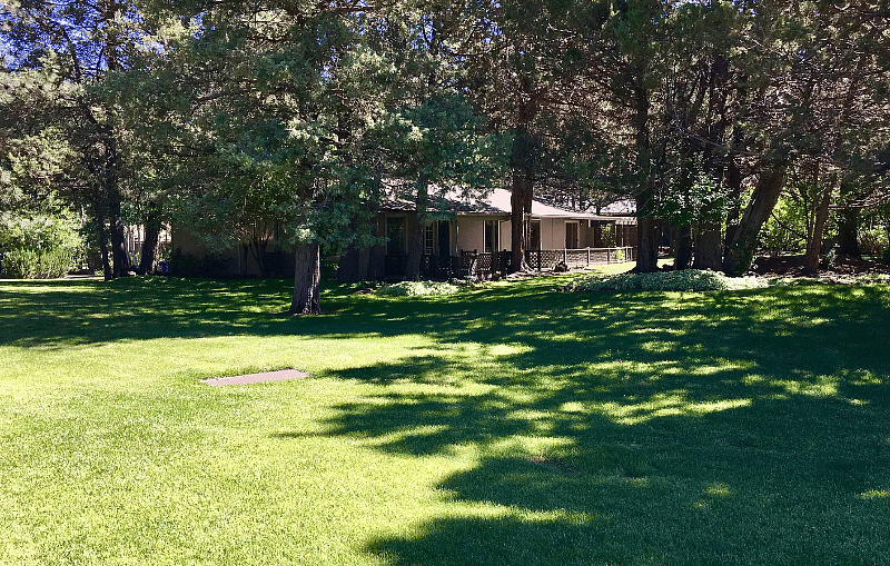 Open space behind the house - the view from the backyard and the walking trail is steps over.