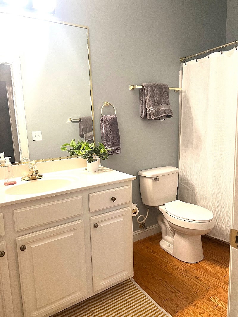 Furnished Finder property 515038_1 photo 14