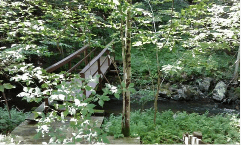 Bridge over the brook