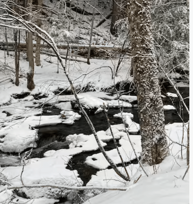 Babbling brook