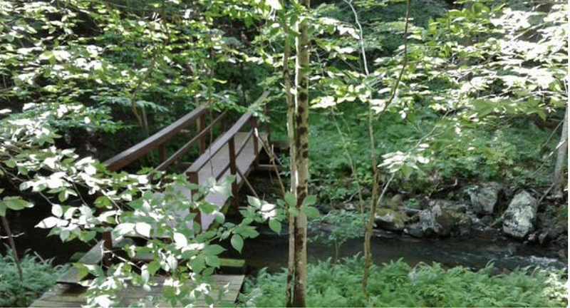 Bridge over the brook