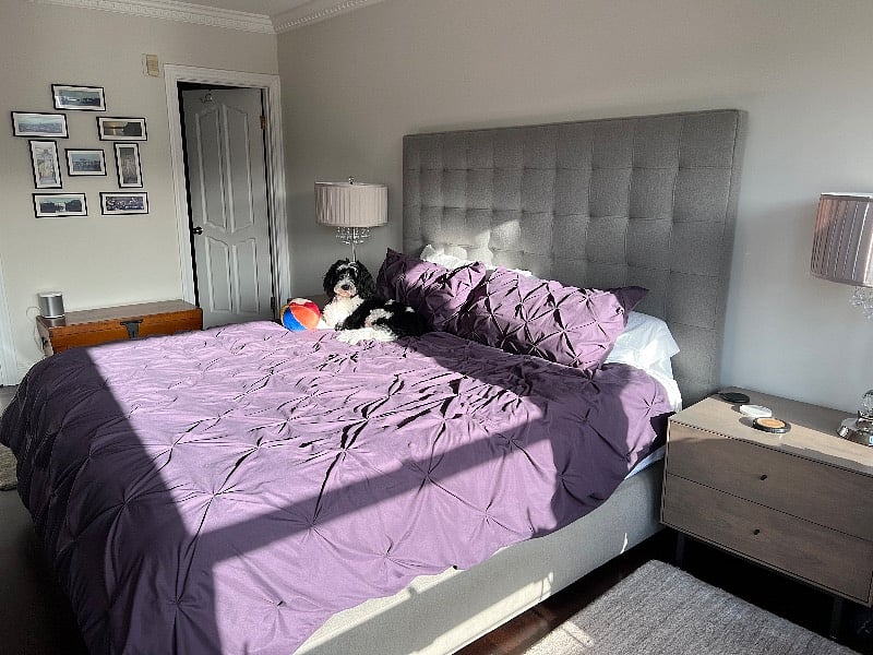 Primary bedroom with king bed, en-suite bathroom and TV. Dog not included