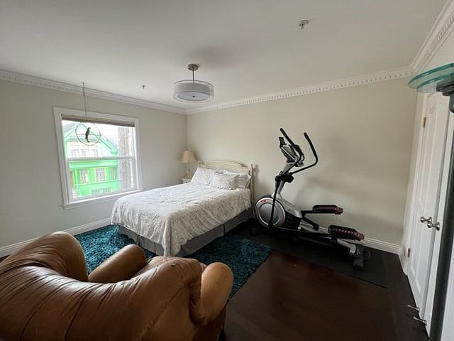 3rd bedroom with queen bed, elliptical machine, large walk-in closet