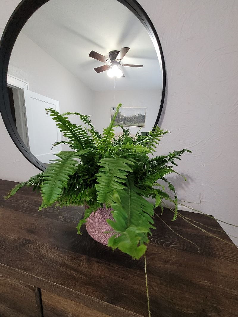 Furnished Finder property 515455_1 photo 6
