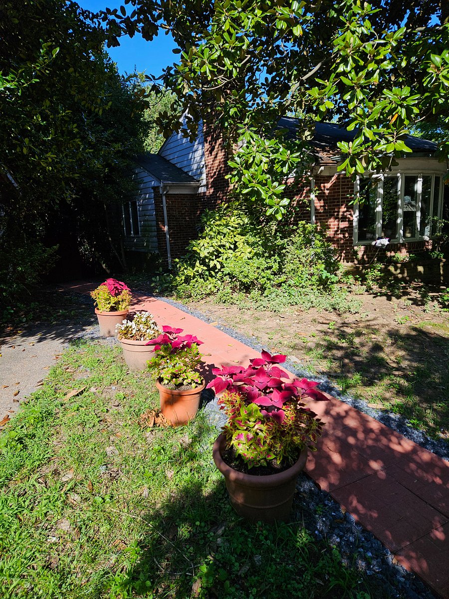 Furnished Finder property 515489_1 photo 5