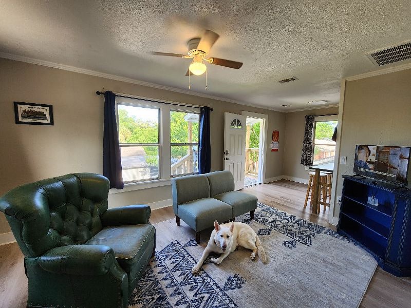 Furnished Finder property 515540_1 photo 5