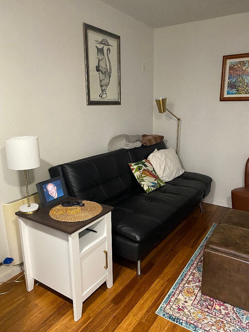 Comfy pullout couch.