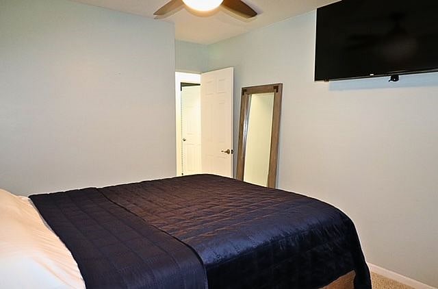 Furnished Finder property 515662_1 photo 17