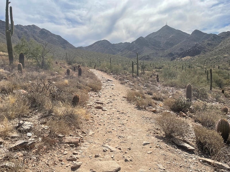 McDowell mountain park, minutes away! Great hiking.