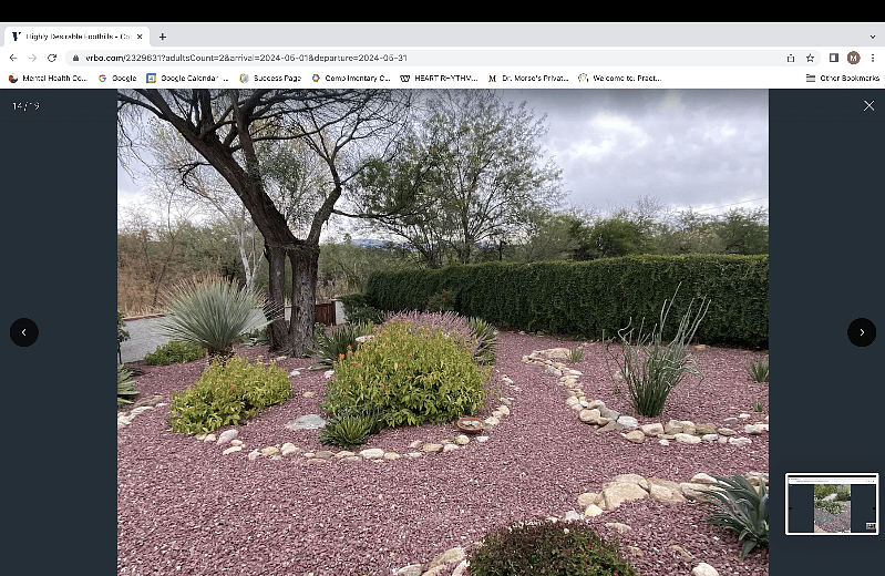 Backyard with Mountain viewsCo