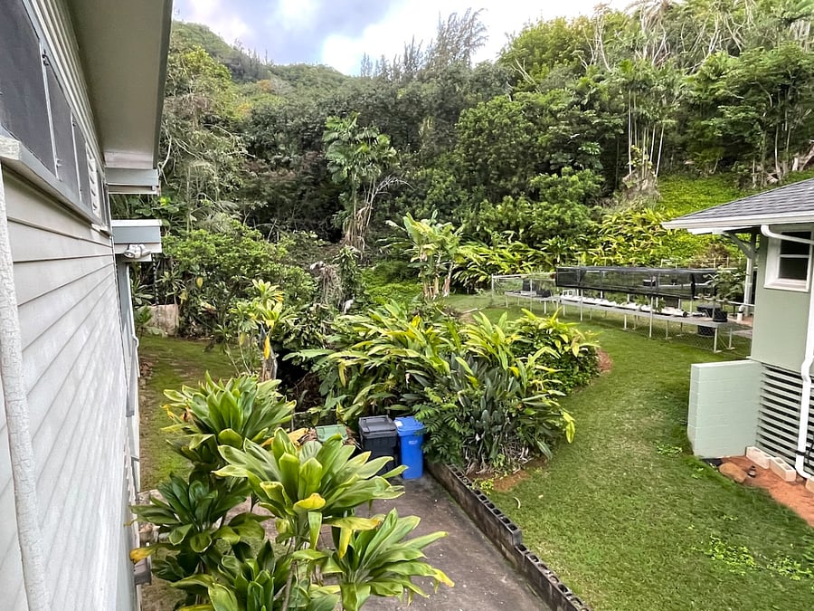 Furnished Finder property 515767_1 photo 27