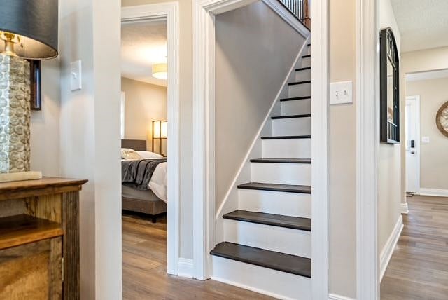 Furnished Finder property 515861_1 photo 29
