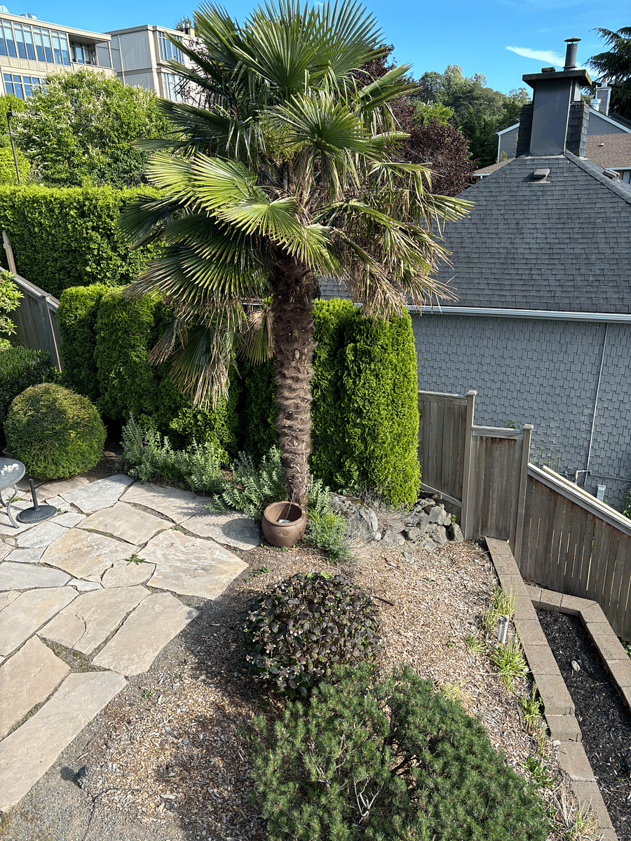 Furnished Finder property 515874_1 photo 18