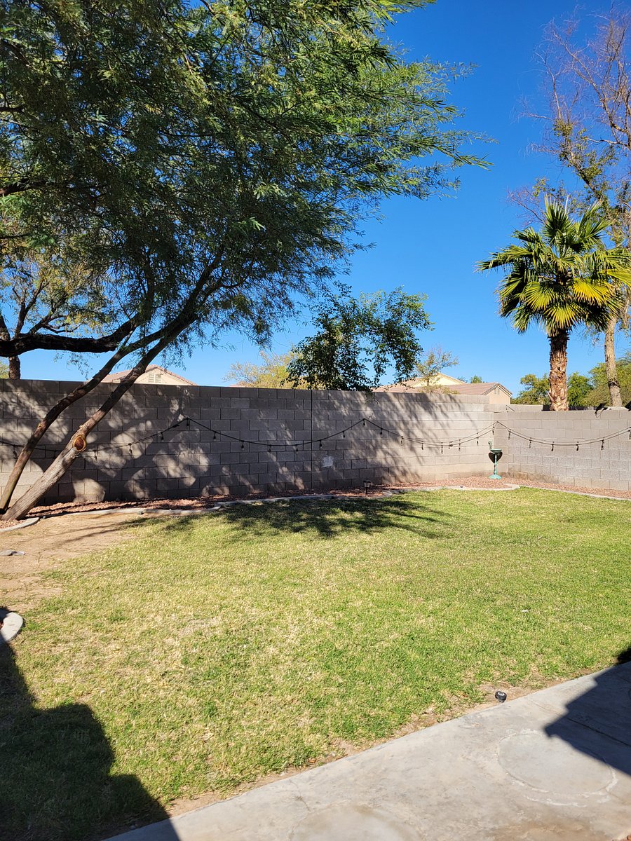 Furnished Finder property 516103_1 photo 17
