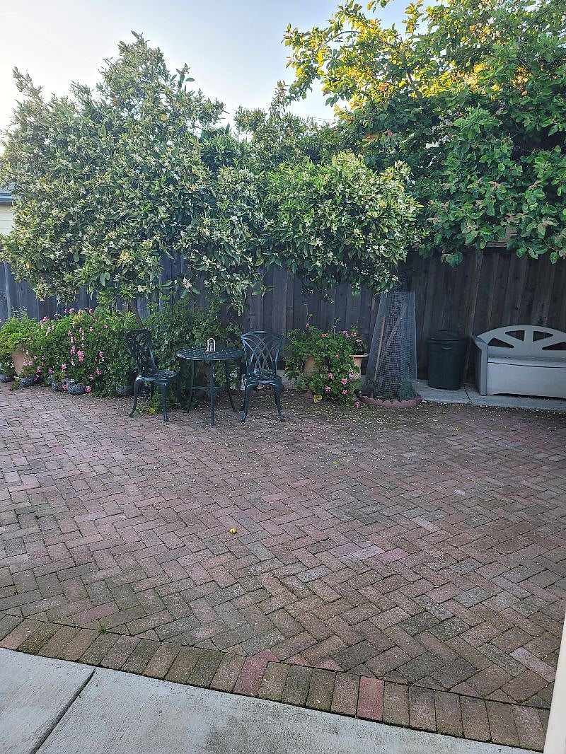 Furnished Finder property 516348_1 photo 4