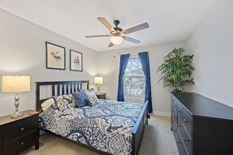 Furnished Finder property 516431_1 photo 8