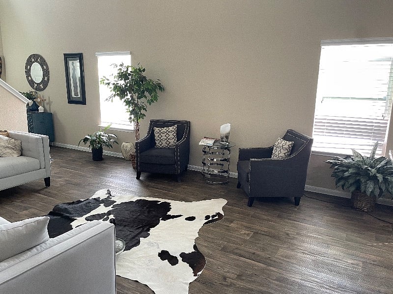 Downstairs living room