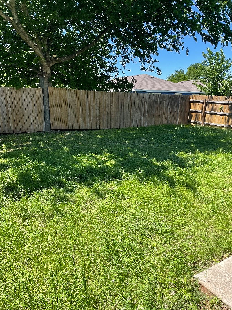 Private spacious backyard