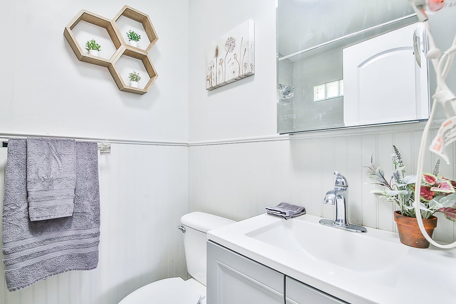Furnished Finder property 516771_1 photo 20